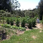 Bed and Breakfast Casa Fiorita