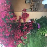 Casa Fiorita 4*