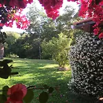 Casa Fiorita Bed and Breakfast