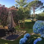 Casa Fiorita Bed and Breakfast