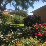 Bed and Breakfast Casa Fiorita