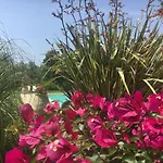 Bed and Breakfast Casa Fiorita