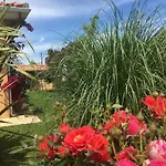 Bed and Breakfast Casa Fiorita