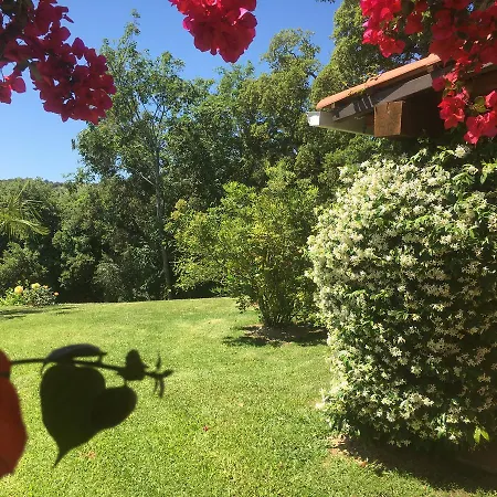 Bed & Breakfast Casa Fiorita 4*