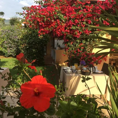 Casa Fiorita Bed and Breakfast