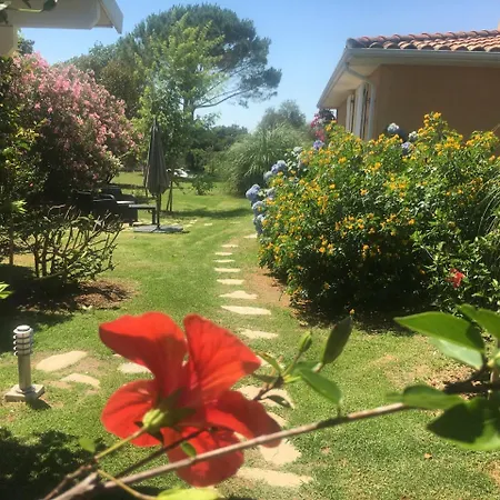Casa Fiorita Bed & Breakfast Mignataja