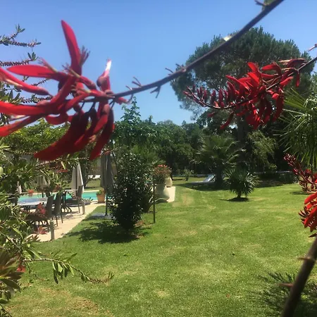 Bed & Breakfast Casa Fiorita 4*