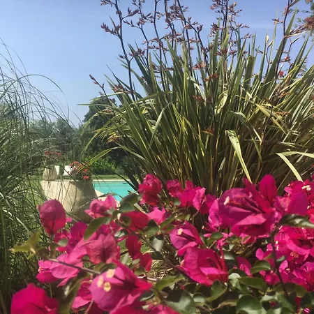 Bed & Breakfast Casa Fiorita