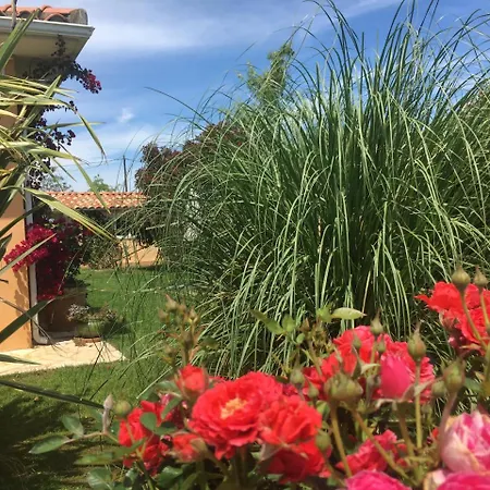 Bed & Breakfast Casa Fiorita