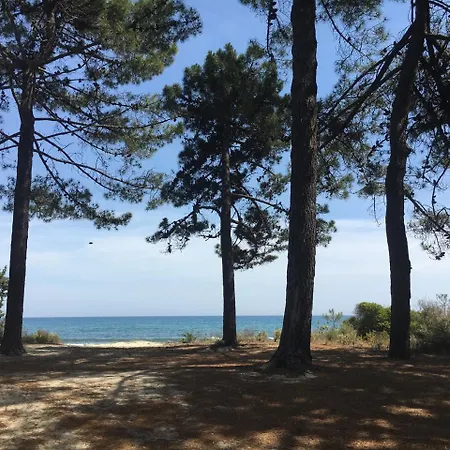 Casa Fiorita * Mignataja