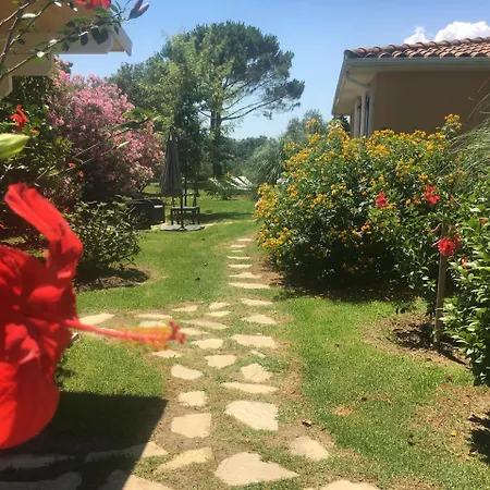 Casa Fiorita Mignataja