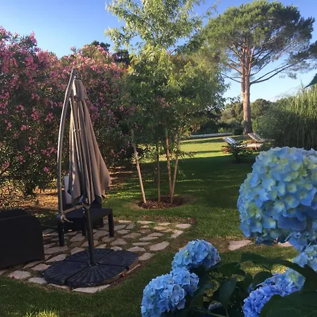 Casa Fiorita Bed & Breakfast