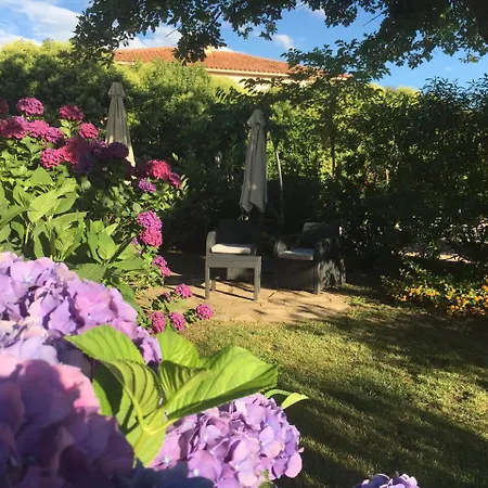 Casa Fiorita Bed & Breakfast Mignataja