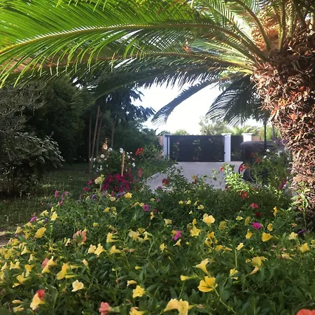 Bed & Breakfast Casa Fiorita