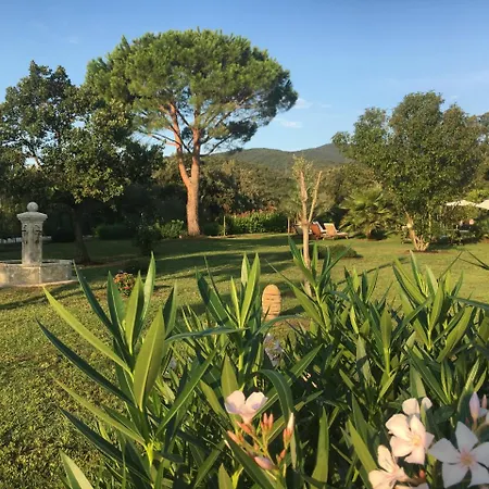 Casa Fiorita Bed & Breakfast